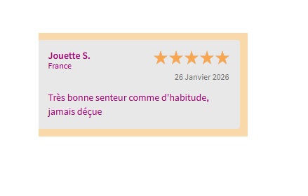 Duo 10 Plaquettes Pailletées